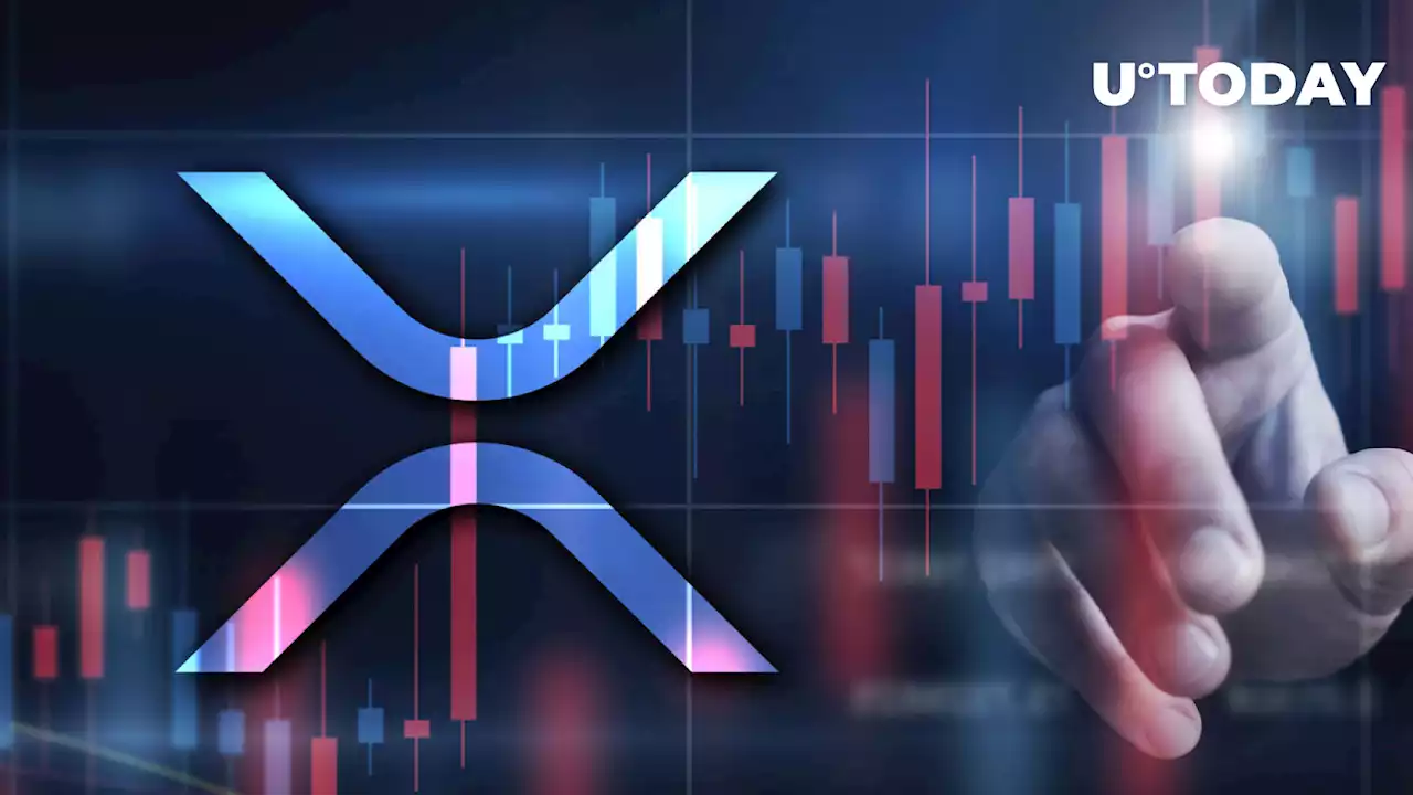 XRP Becomes Third Largest Asset on Canada's Major Crypto Exchange, Here's How Many Millions It Holds