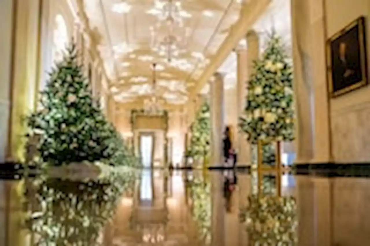 Jill Biden’s holiday decorations strike a homier note than Melania Trump’s