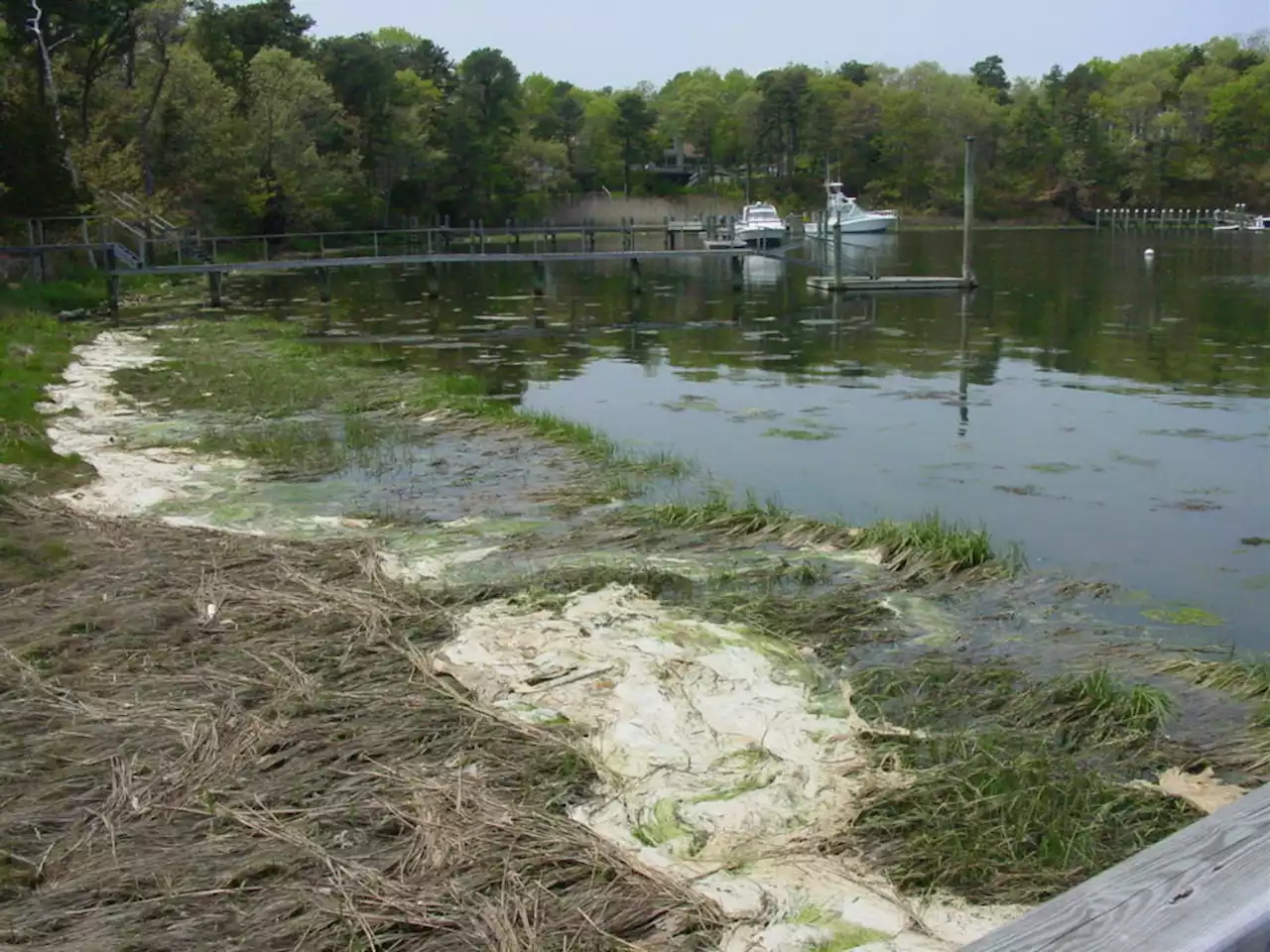 Thousands of Cape Cod homeowners may need to replace septic systems under new state regulations