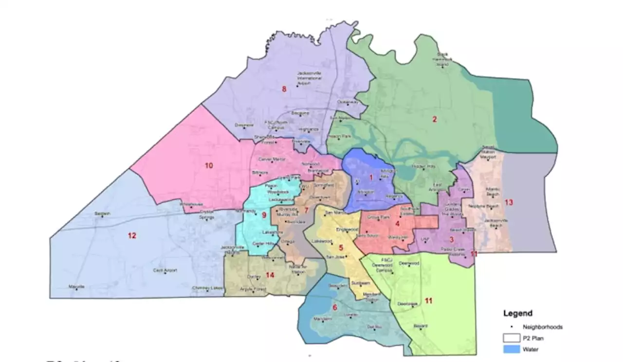 City expert disputes claim that race was the main factor in how new districts were drawn