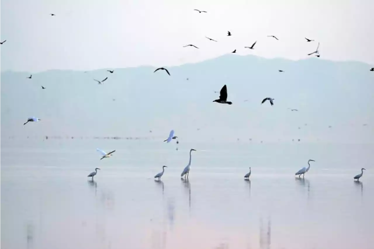 Drying California lake to get $250M in US drought funding