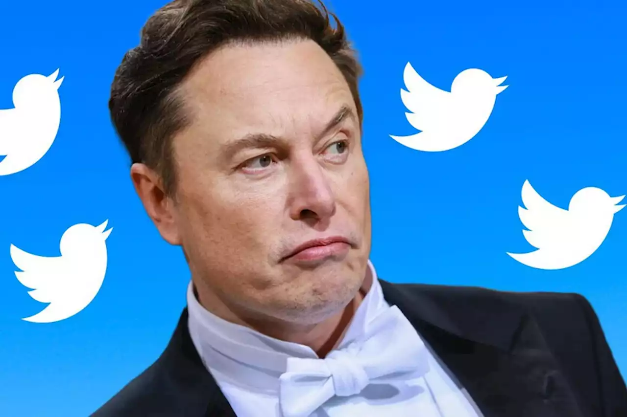 Elon Musk critica a Apple por dejar de pagar publicidad en Twitter: '¿Odian la libertad de expresión en América?'