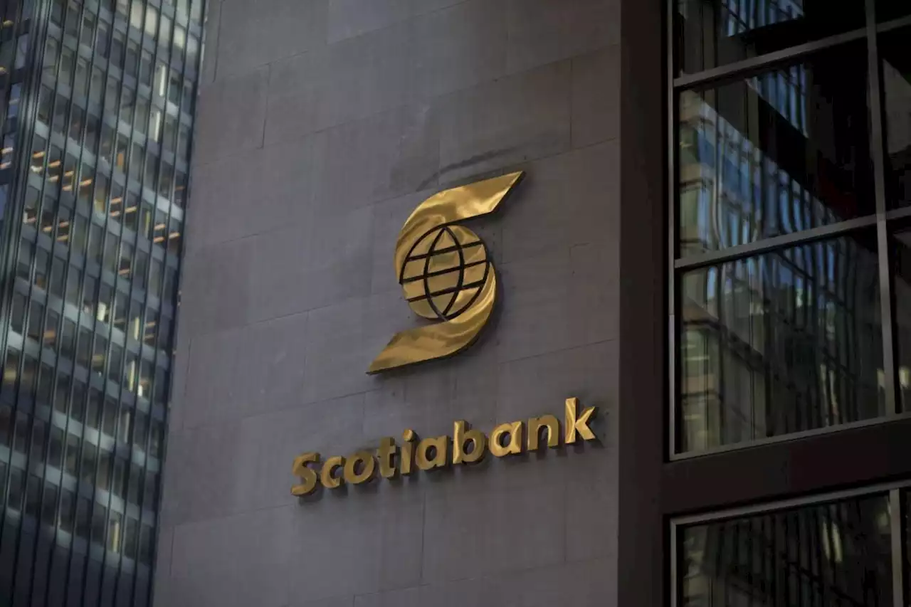 Scotiabank Tops Estimates With Business Borrowing Increasing