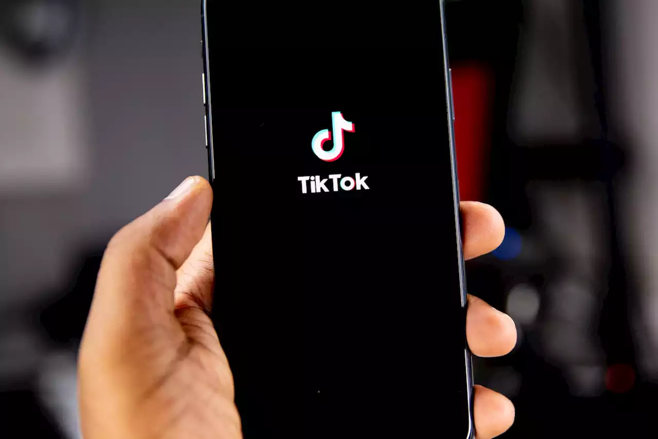 TikTok fait une révélation choc au sujet de vos données personnelles