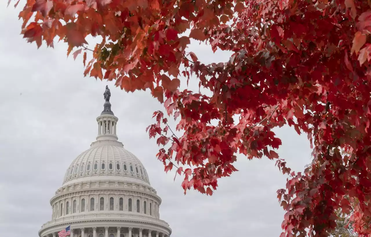 Notre correspondant aux Etats-Unis répond à vos questions sur les midterms