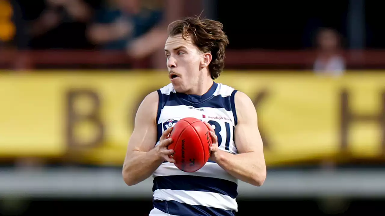 Port signs cut Cat in bid to boost small forward stocks, ex-Dog joins Hawks