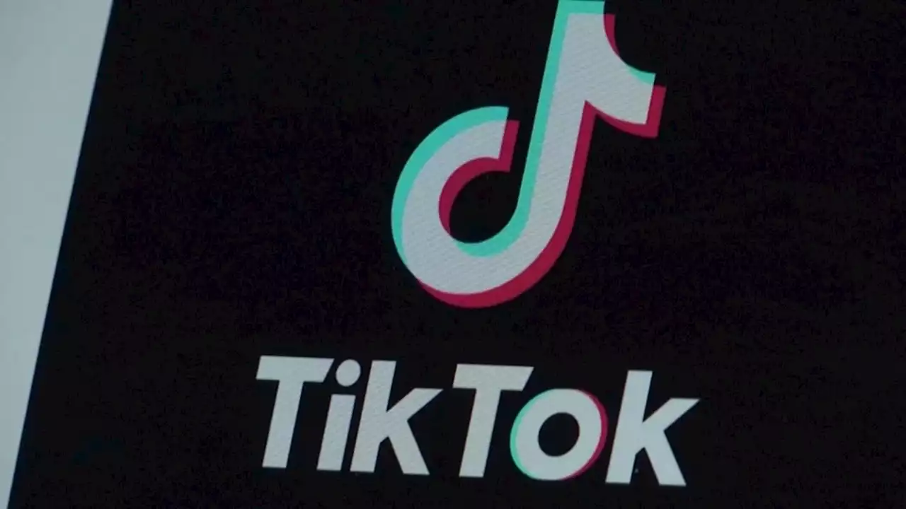 FCC commissioner says US should ban TikTok due to safety concerns with social media app