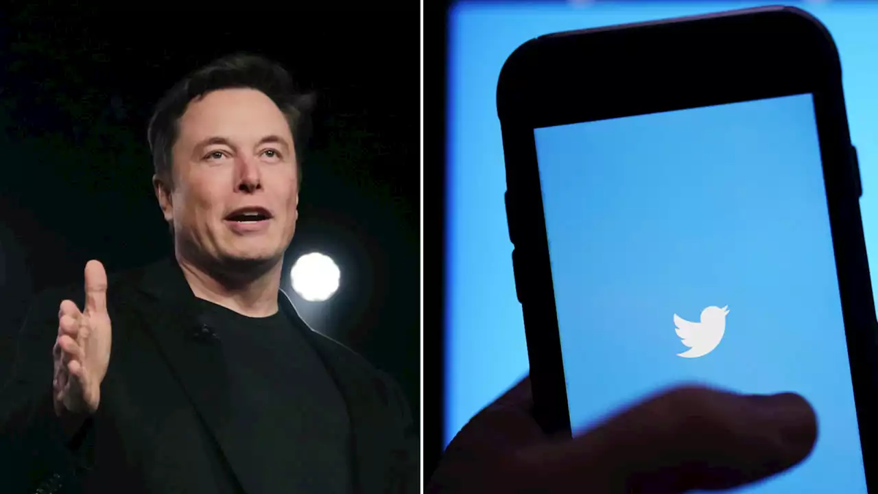 People banned from Twitter won't have accounts restored for weeks, Elon Musk says