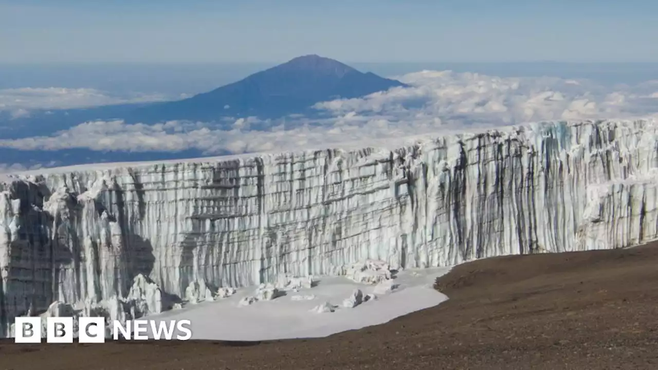 Climate change: No glaciers on Kilimanjaro by 2050