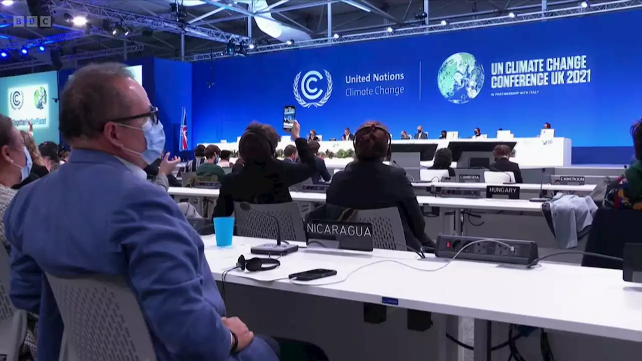 COP27: What is the Egypt climate conference and why is it important?