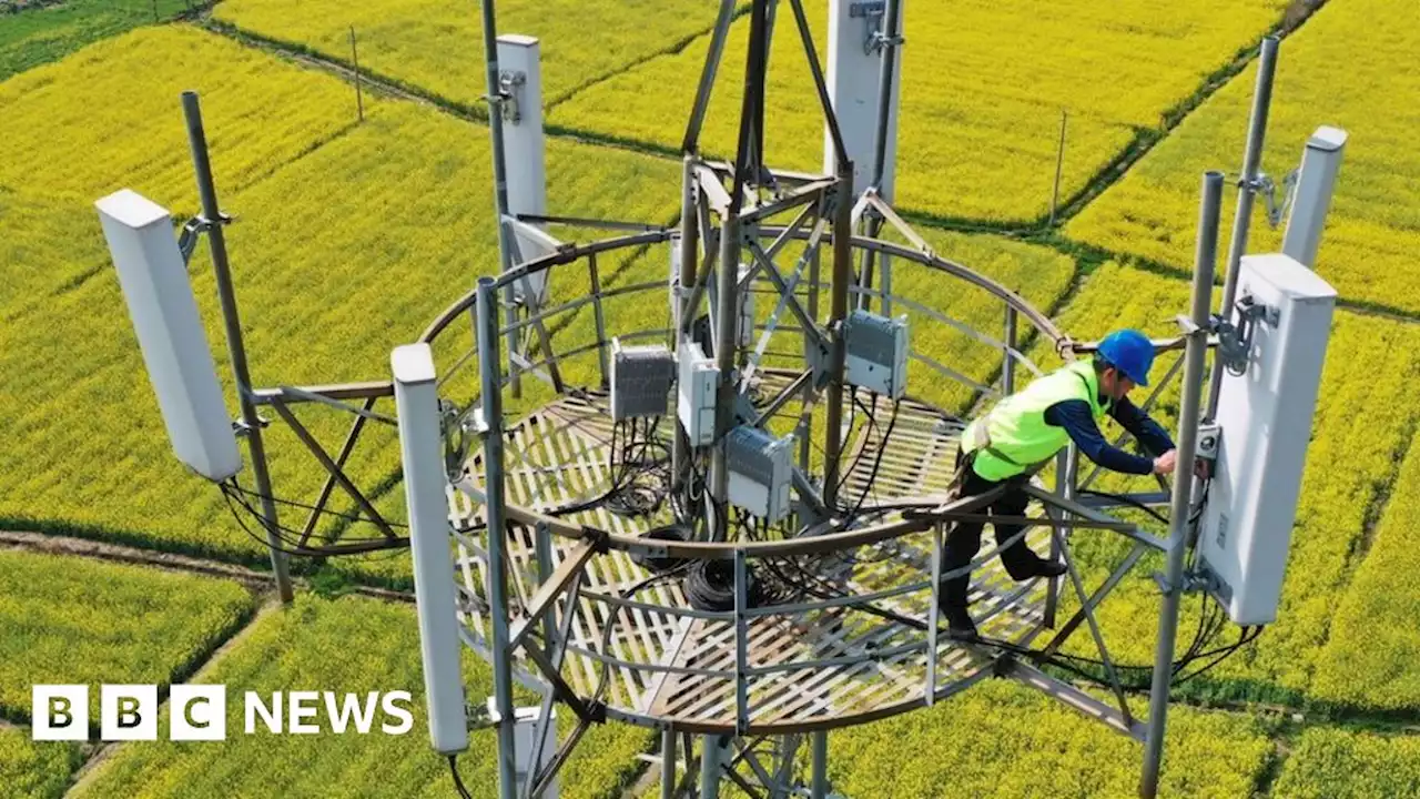 Twyford fury at 'blot on the landscape' 5G phone mast