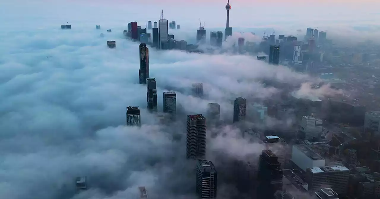 Weather advisory issued for Toronto as thick fog creates 'near zero visibility'