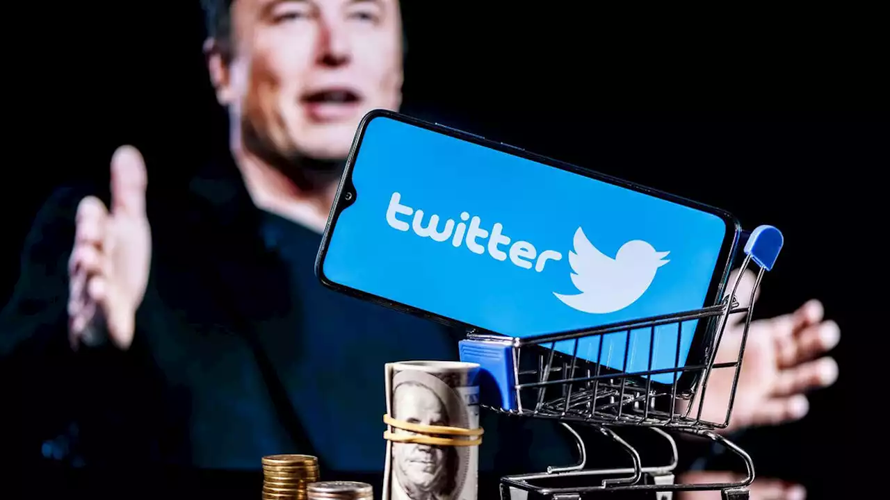 Twitter: Massenentlassungen und kostenpflichtige Profile – was hat Musk vor?