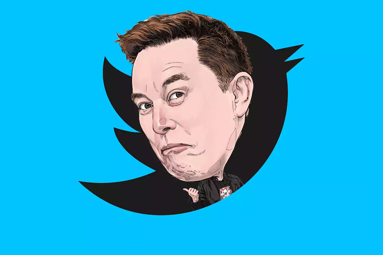 Le travail de la modération de Twitter rendu impossible par Elon Musk en pleine période d'élections