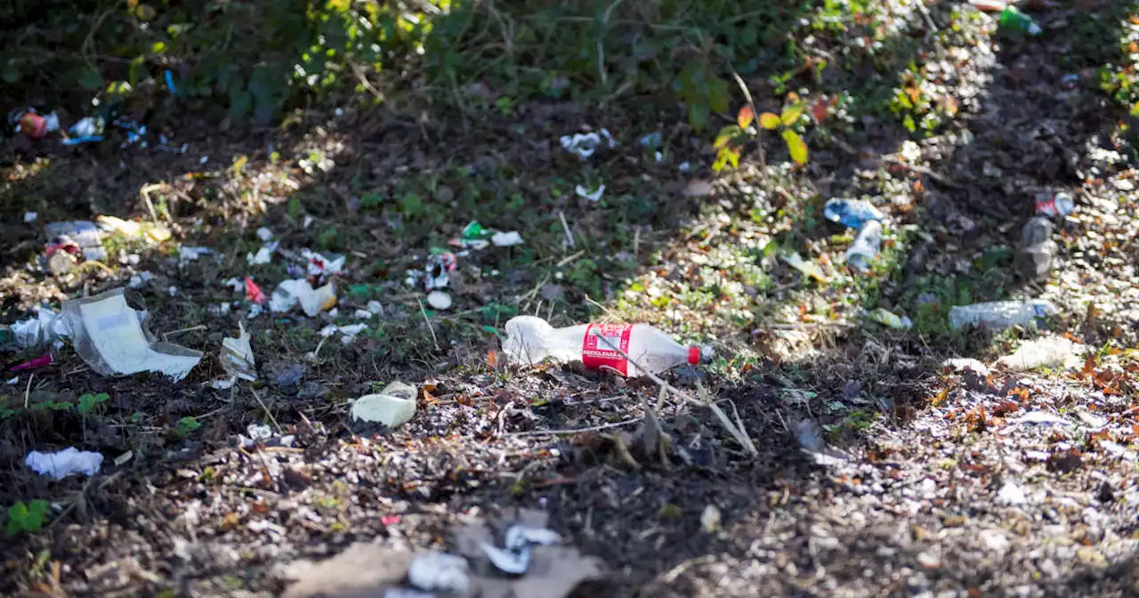 Environnement. En Allemagne, une taxe pour financer le ramassage des plastiques à usage unique