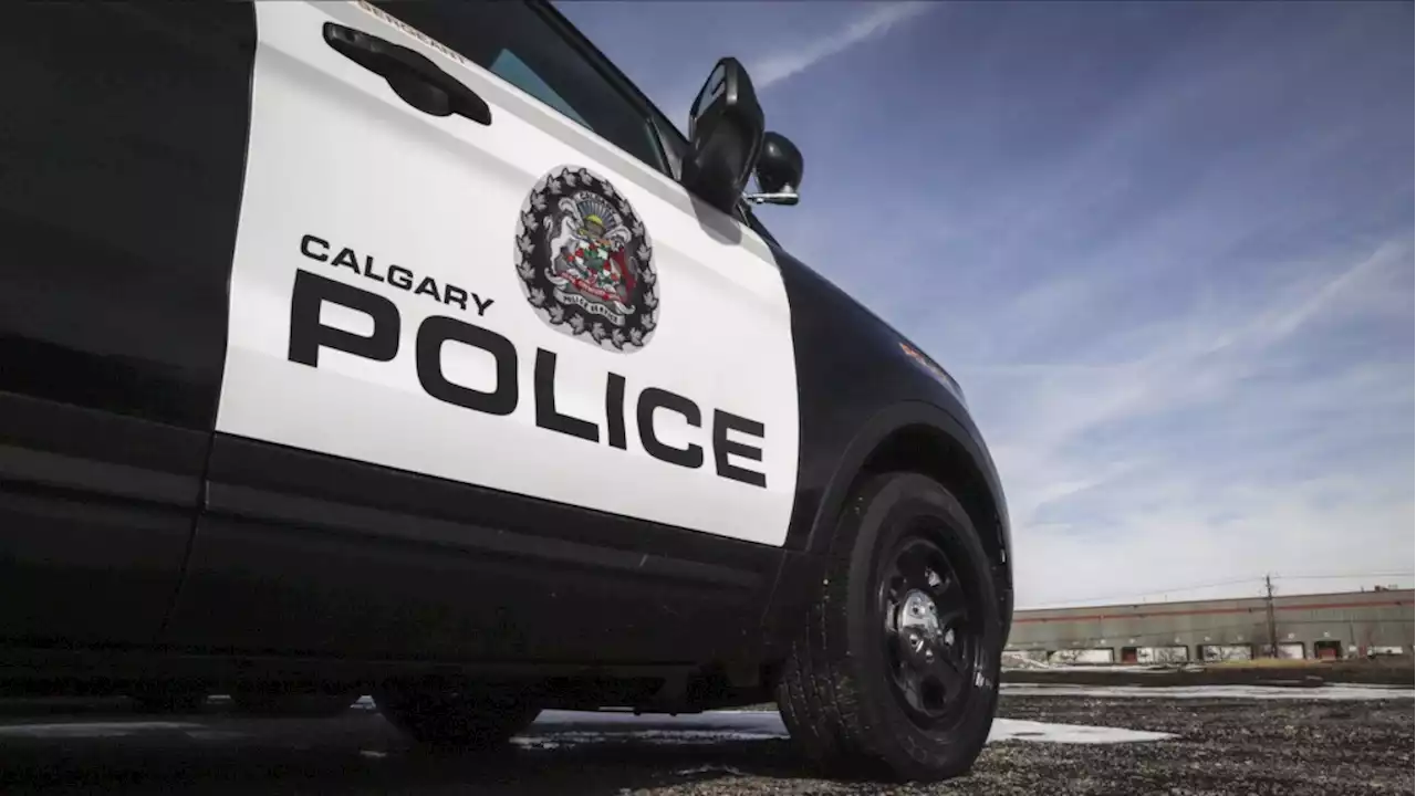 Calgary police report a downward trend in reported cases of domestic violence