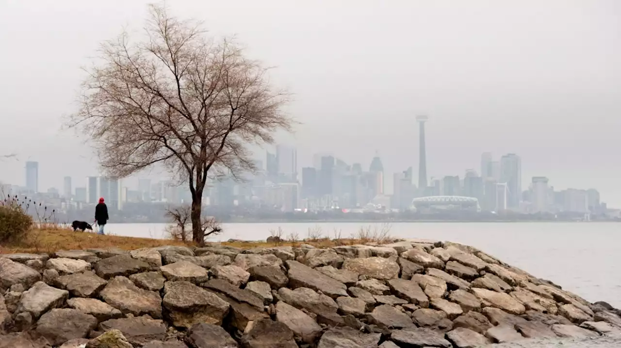 Thick fog creates 'near zero' visibility across most of southern Ontario