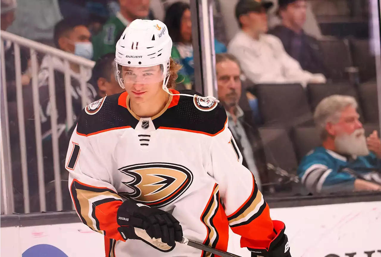 Ducks forward Trevor Zegras fined $1,500 for slashing Sharks' Matt Benning - Daily Faceoff