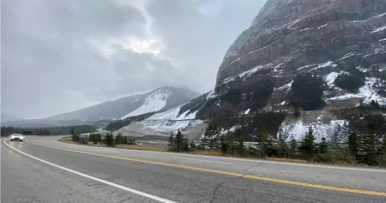 Some calling for changes to deadly stretch of highway in Yoho National Park | Globalnews.ca