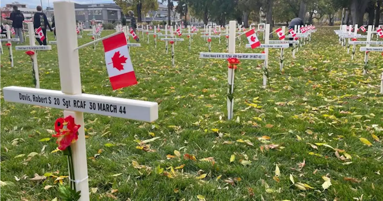 Annual Field of Crosses display back at Kelowna, B.C. park - Okanagan | Globalnews.ca