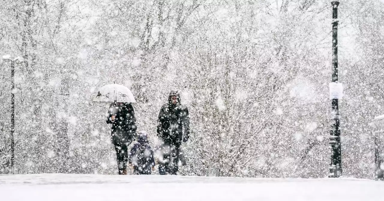 Met Eireann November snow verdict as temperatures to plummet to freezing