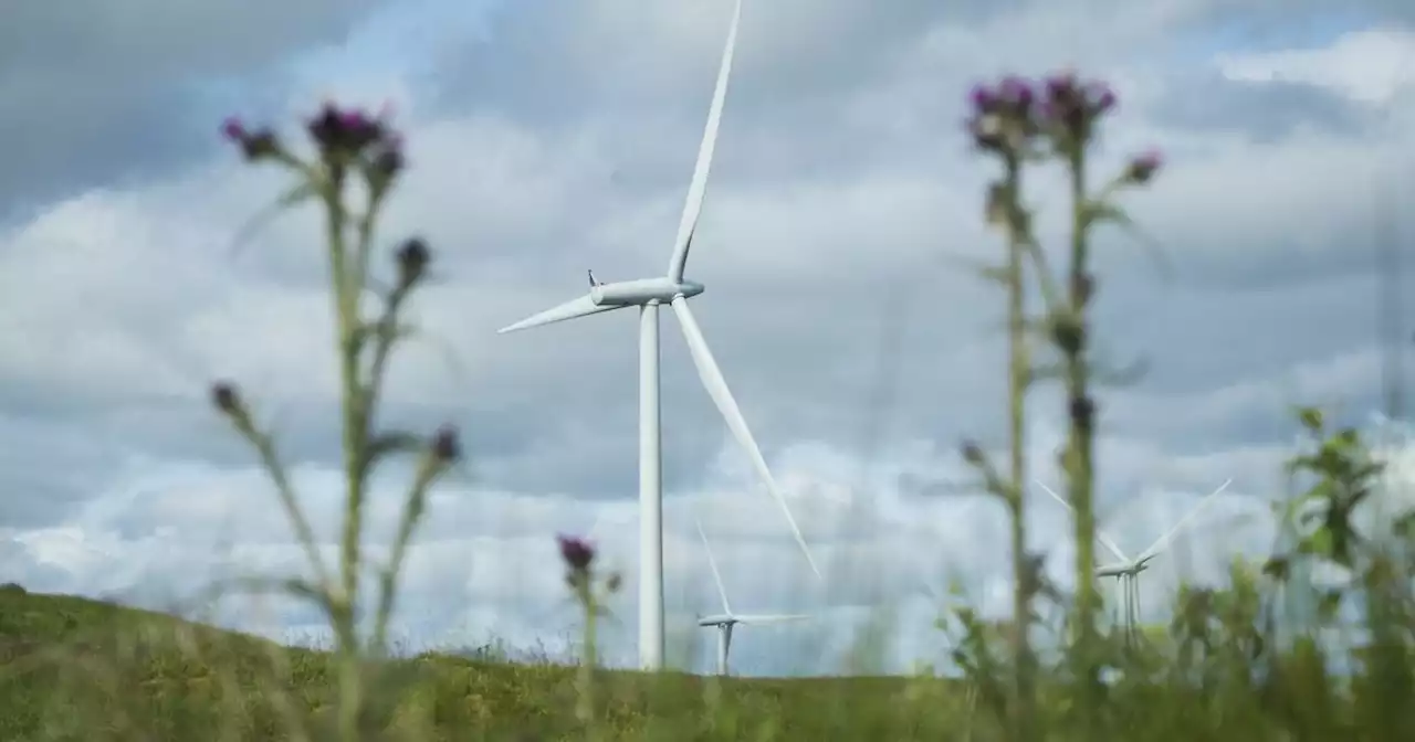 Wind powers close to half of Irish electricity in October