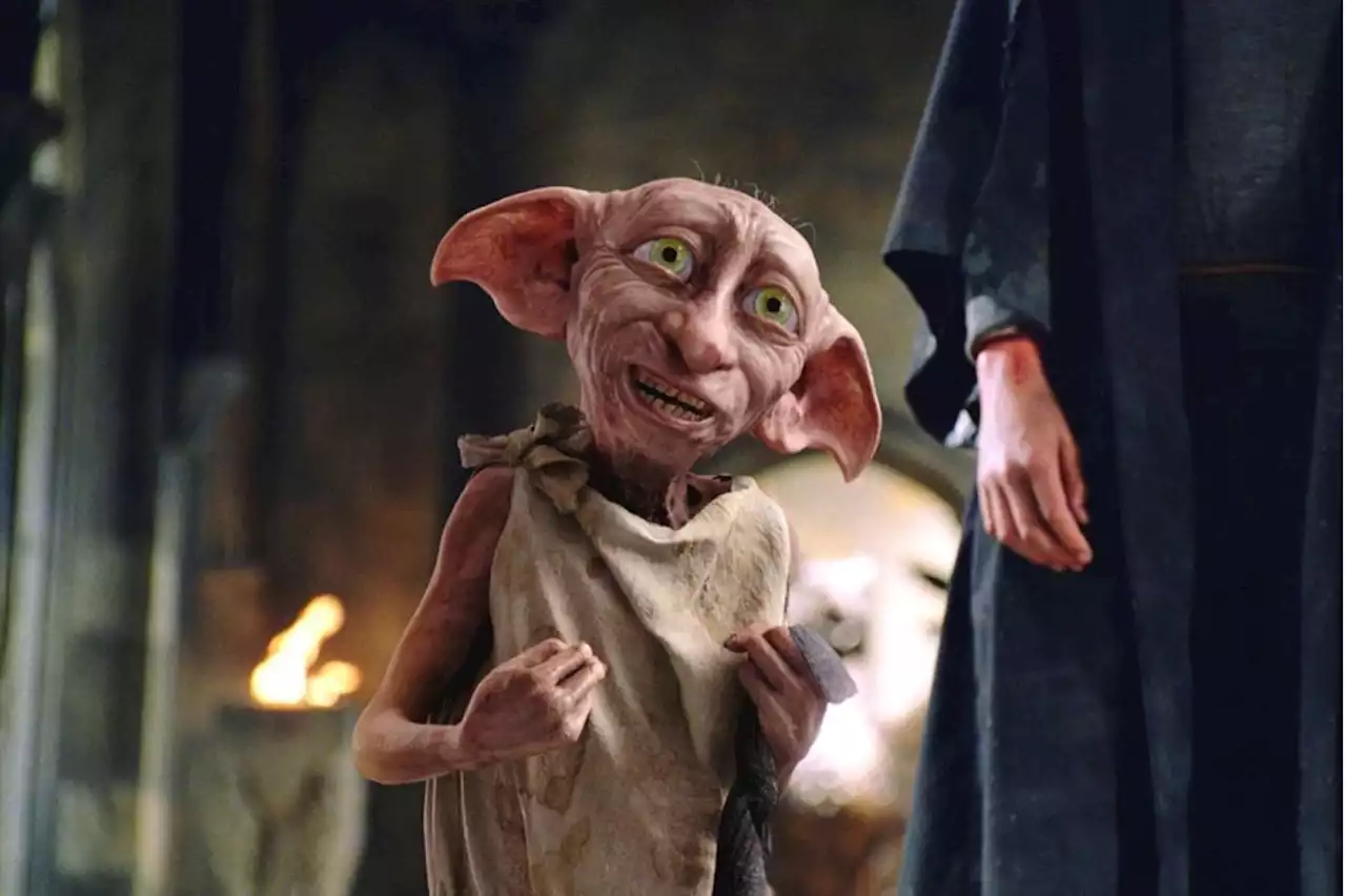 Harry Potter : pourquoi la tombe de Dobby est devenu un désastre écologique ?