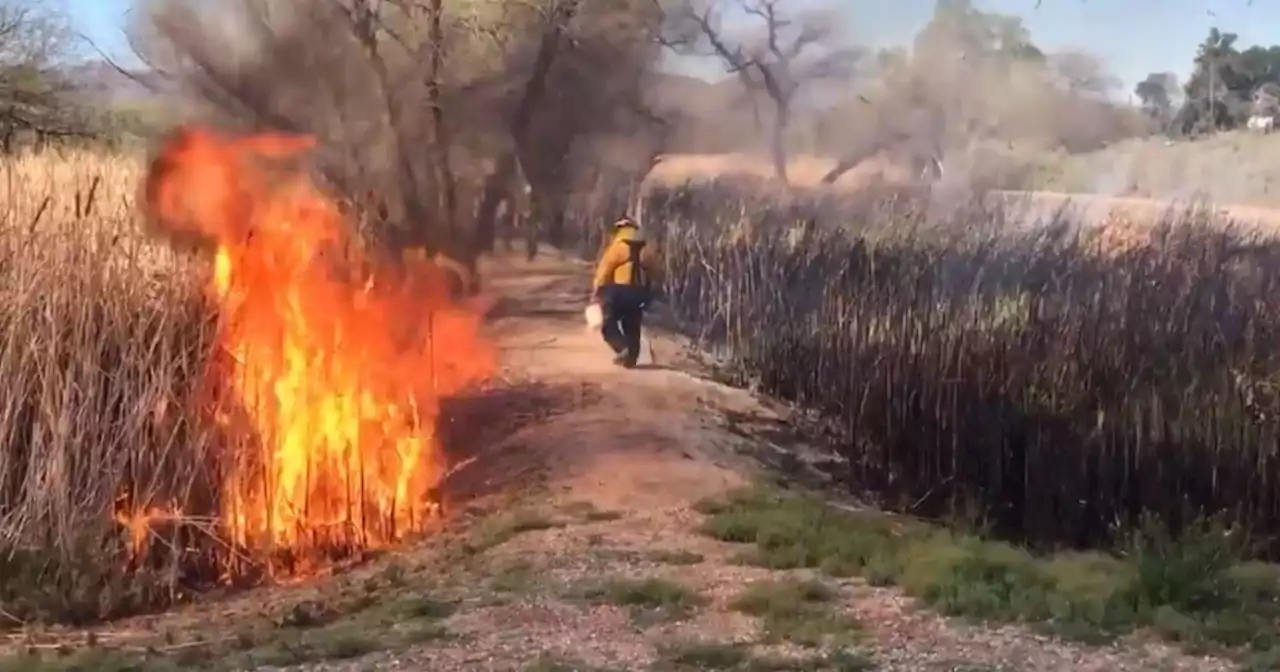 Sweetwater wetlands to perform annual controlled burn Thursday, Nov. 3