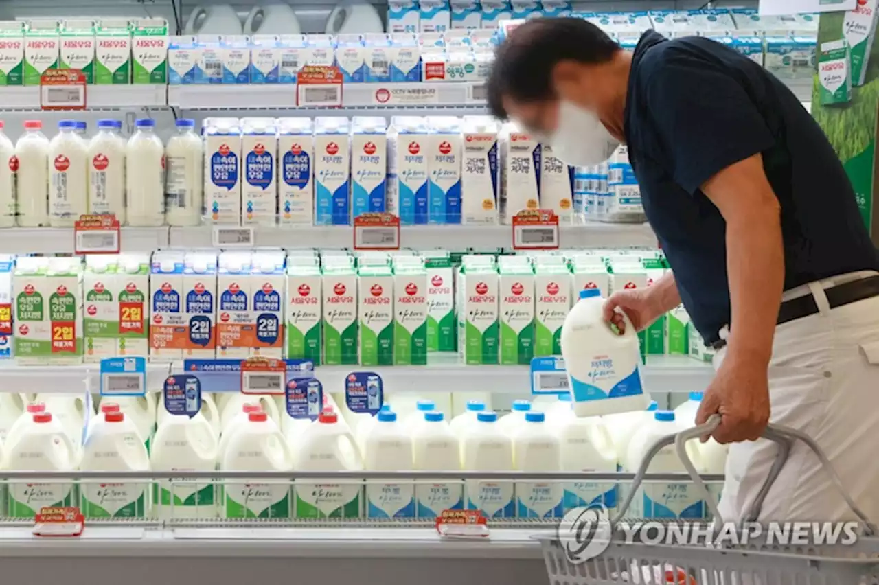 원유가격 ℓ당 49원 인상…흰우유 1ℓ 3000원 넘나