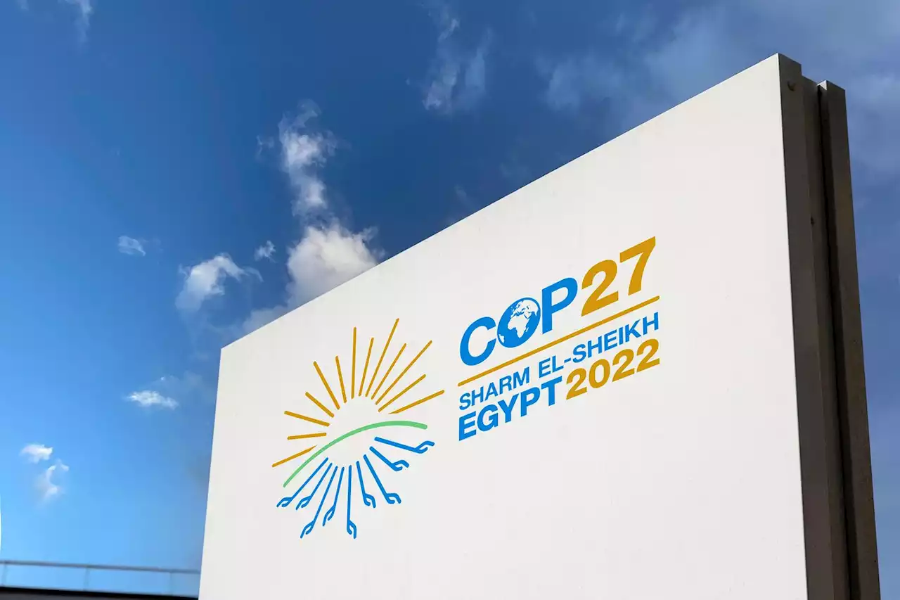 COP27 : six idées pour s’engager pour le climat