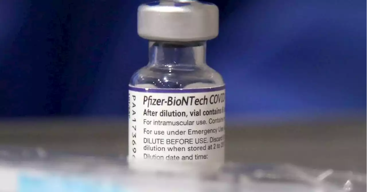 L'alliance Pfizer-BioNTech va tester un vaccin combiné ciblant Covid et grippe