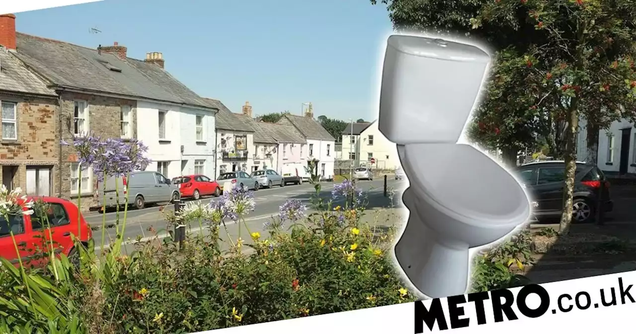 Cornish residents bummed out after B&Q names toilet after their town