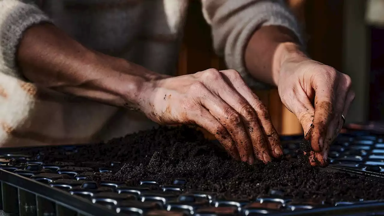 Potting soil has a dirty secret