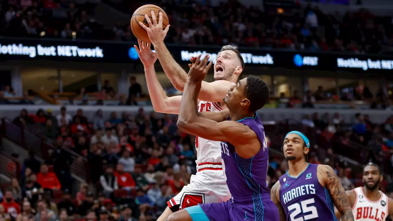 Bulls' Bench Shines Again in Blowout Victory Over Hornets