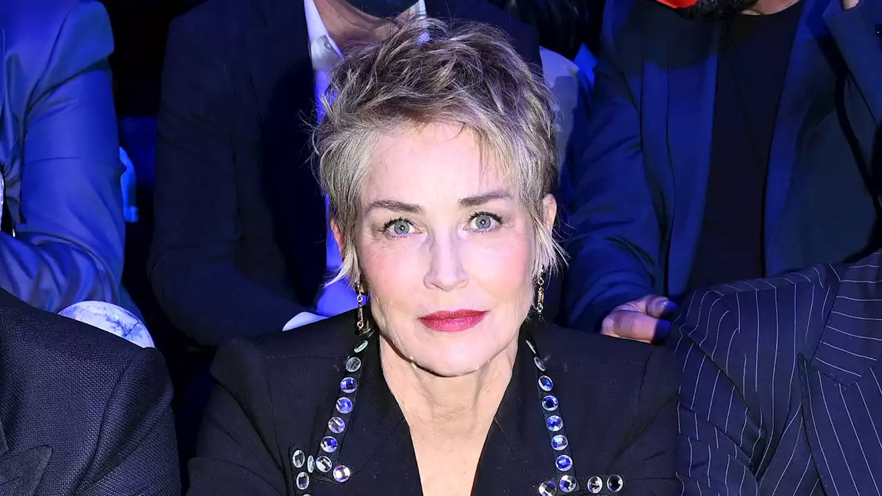 Sharon Stone Reveals She Has A ‘Large Fibroid Tumor' After Misdiagnosis