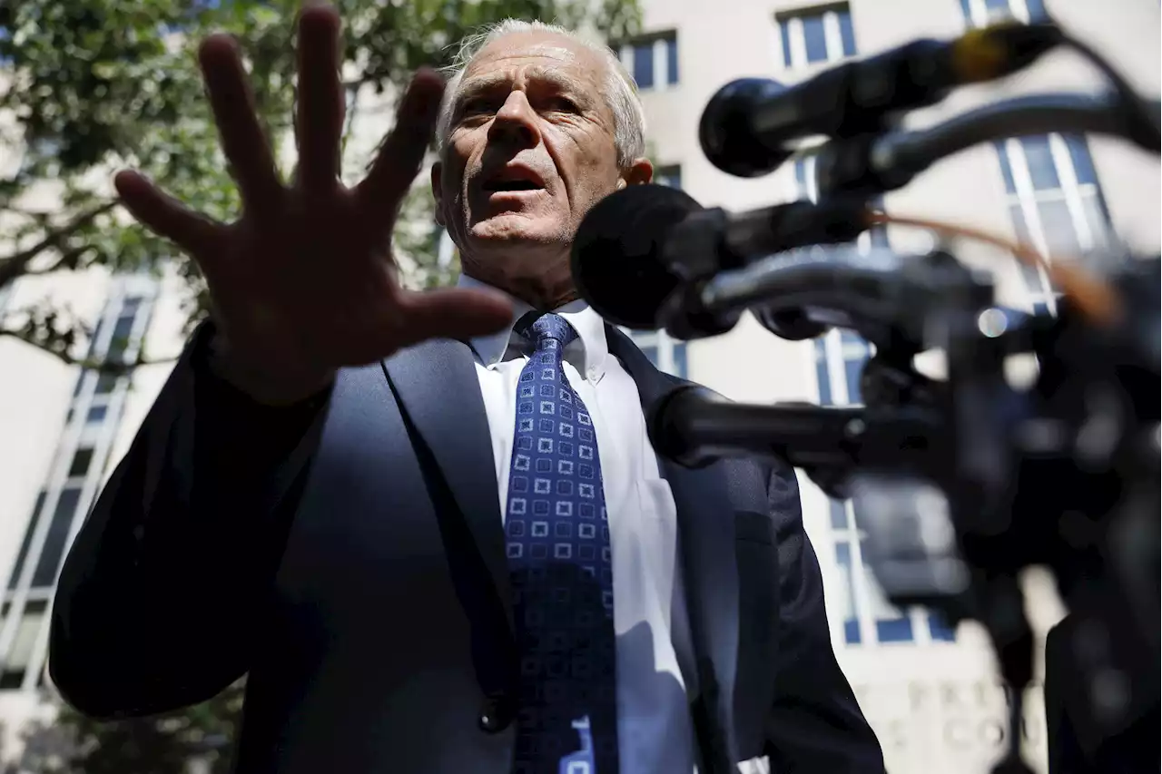 Trump ally Peter Navarro prepares surprise witnesses for contempt trial