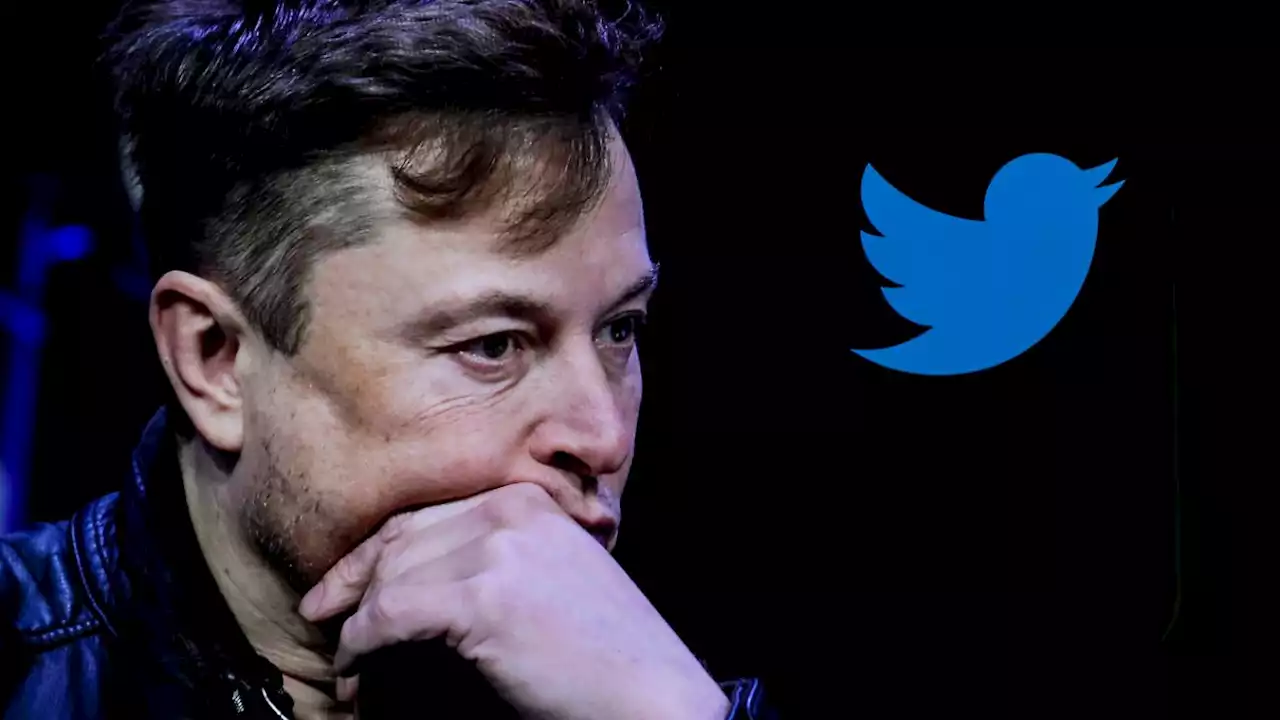 Feuert Elon Musk die Hälfte der Twitter-Mitarbeiter?