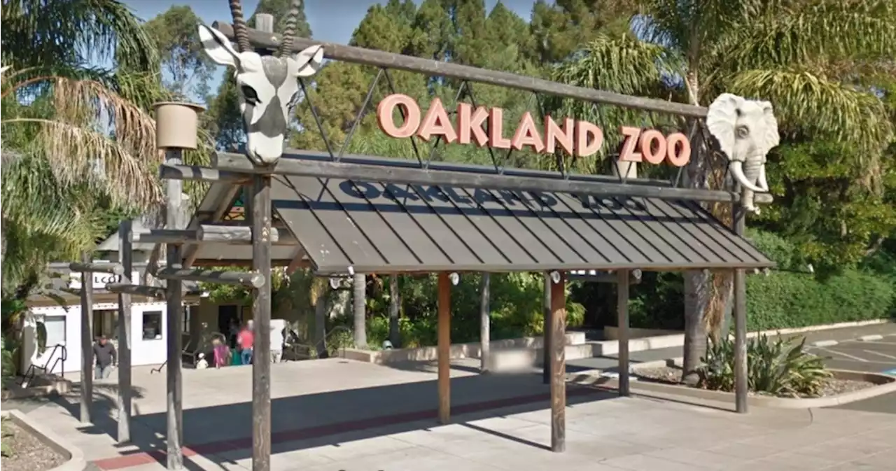 Letters: Zoo tax | Berkeley bond | Gender measure | AC Transit board | Contra Costa election chief