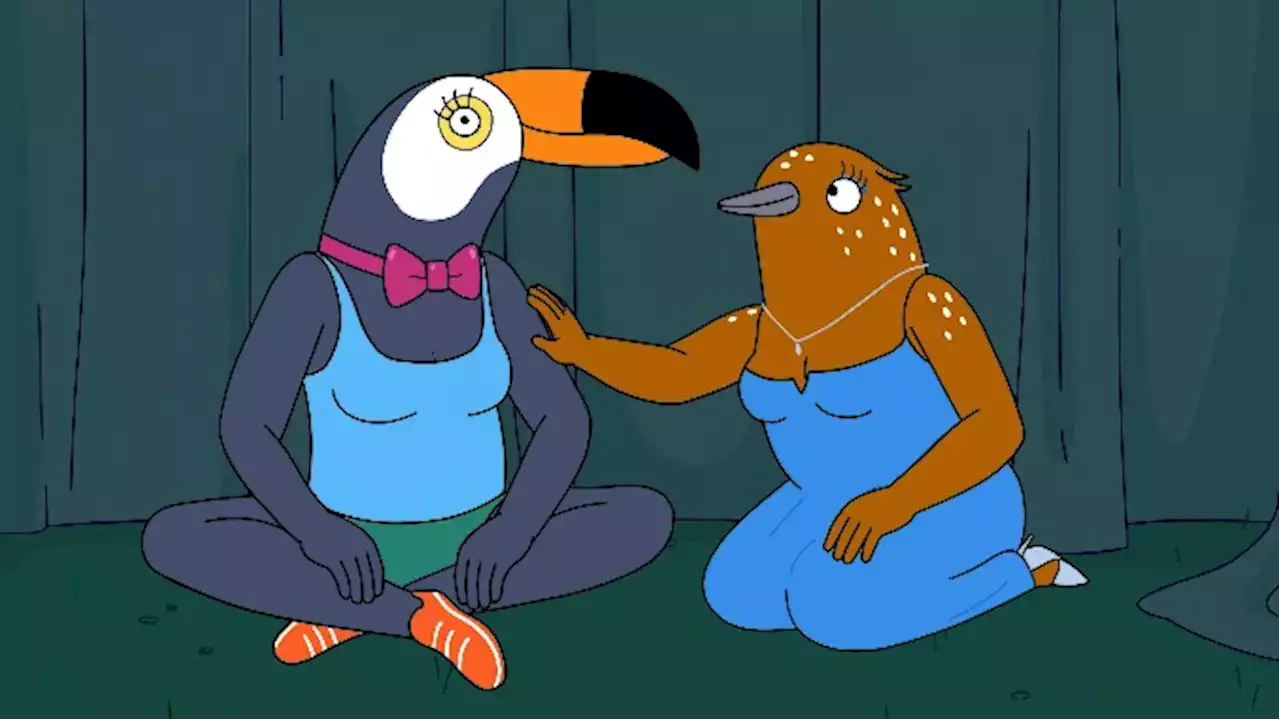 Tuca & Bertie Canceled After a Brief Second Life at Adult Swim