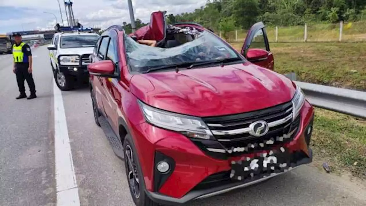 Perodua Aruz hit by loose truck wheel; person injured - paultan.org