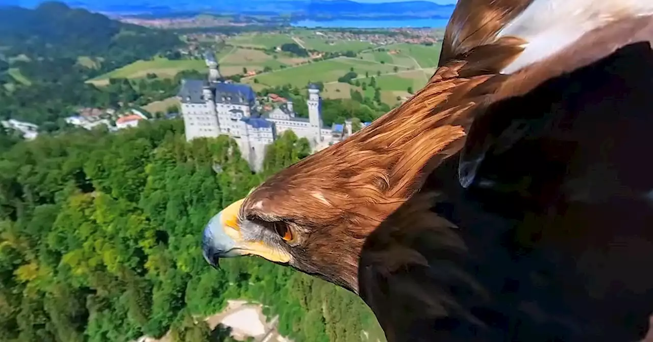 Eagle Camera Captures 360° View Over Iconic Castle That Inspired Disney