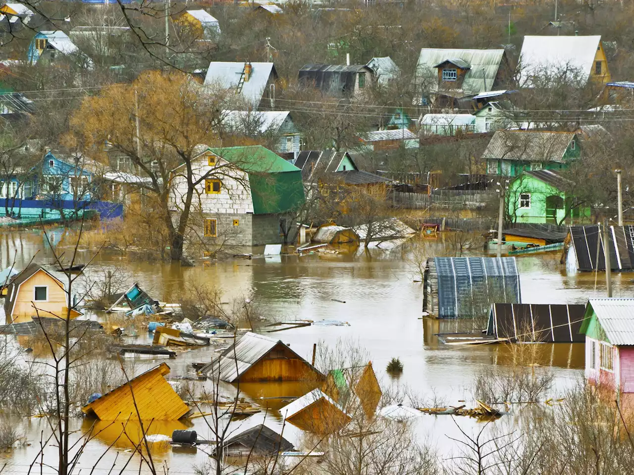 Google expands AI warning system for fire and flood alerts