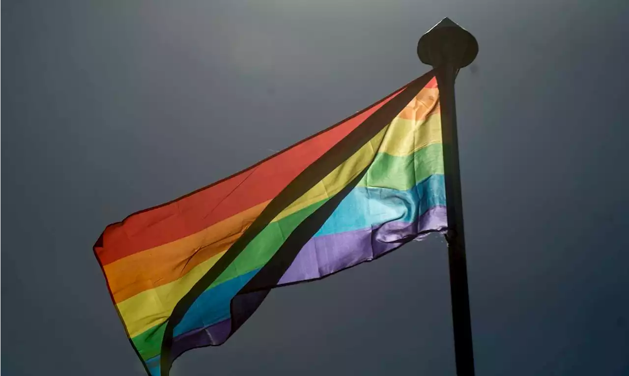 Brasil tem 12% de pessoas ALGBT, mostra levantamento