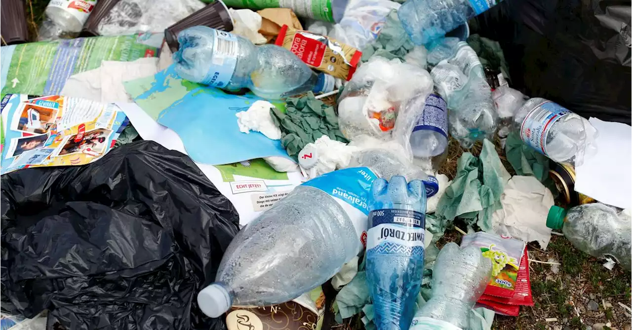 German cabinet backs plastic levy in litter clamp down