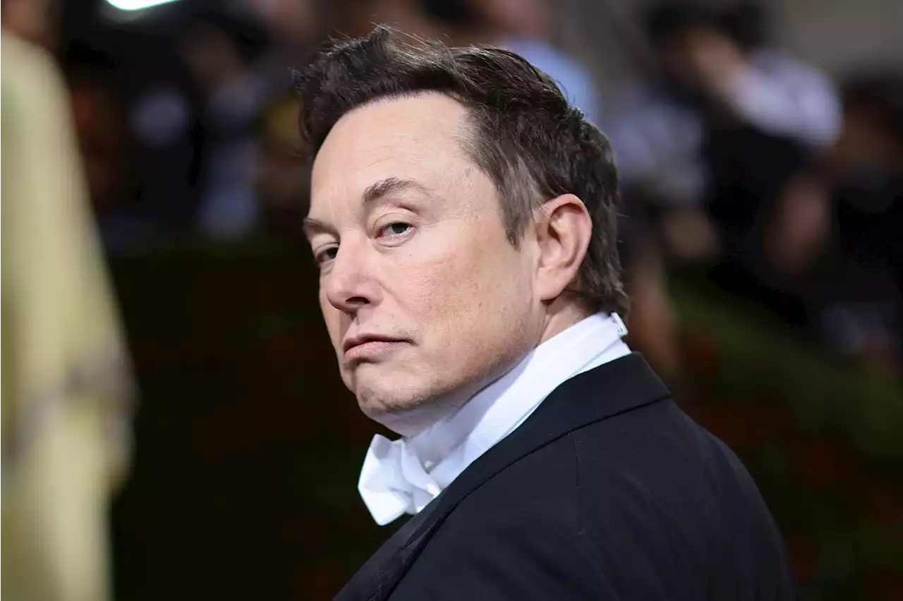 Right-Wingers Are Already Turning on Elon Musk