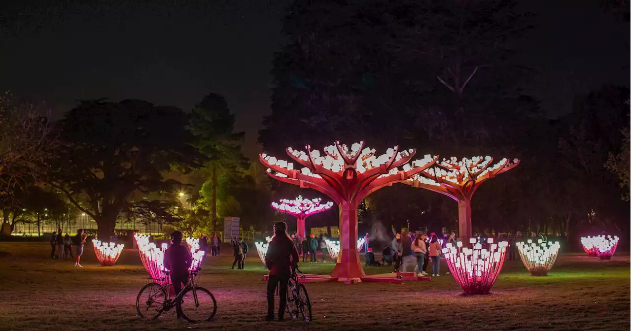 'Entwined' art installation returns to Golden Gate Park