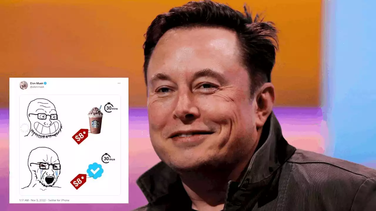 Elon Musk ลงภาพมีมโต้ ! คนบ่นเรื่องค่าธรรมเนียมราคาแพงจากเครื่องหมาย Verify