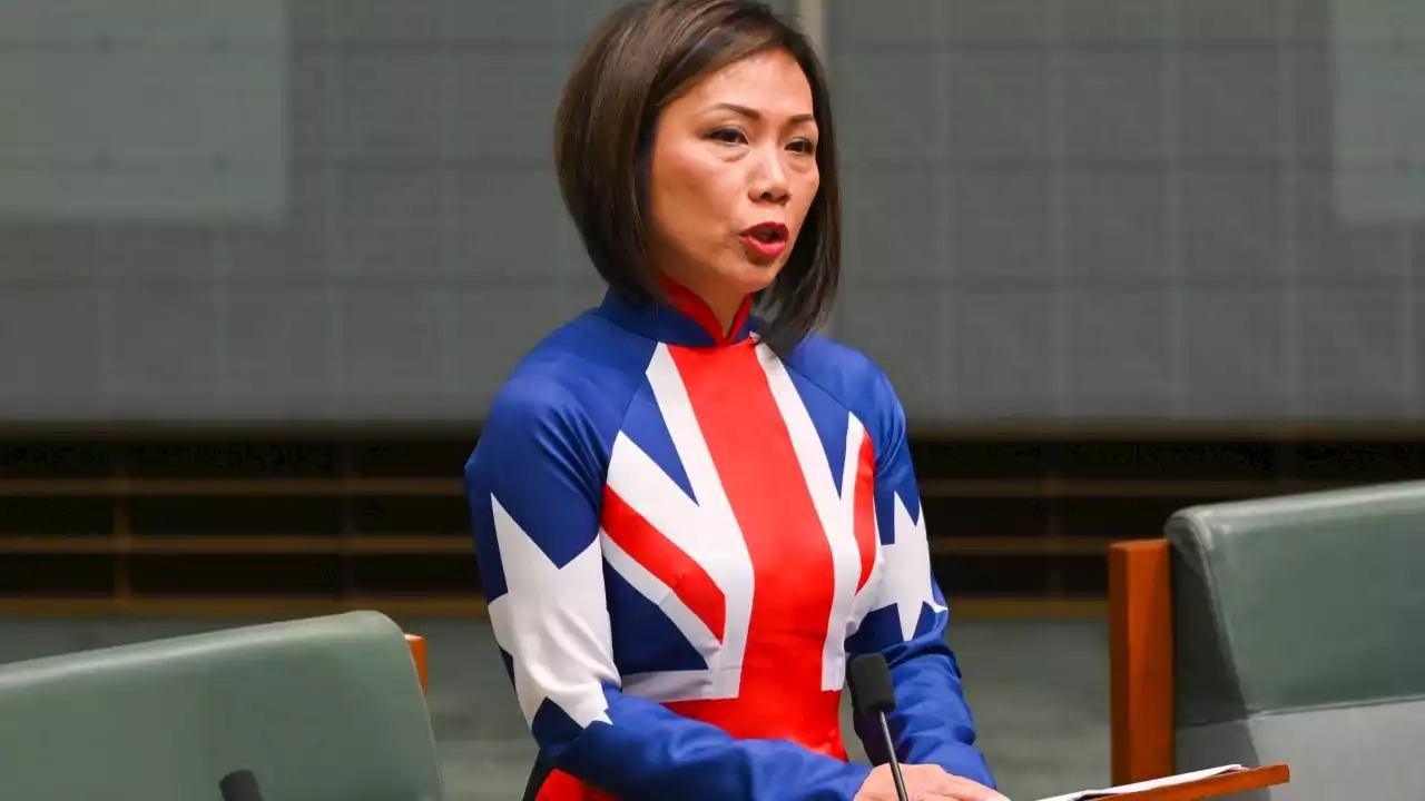 Independent MP says 'open dialogue' would have eased ISIS bride concerns
