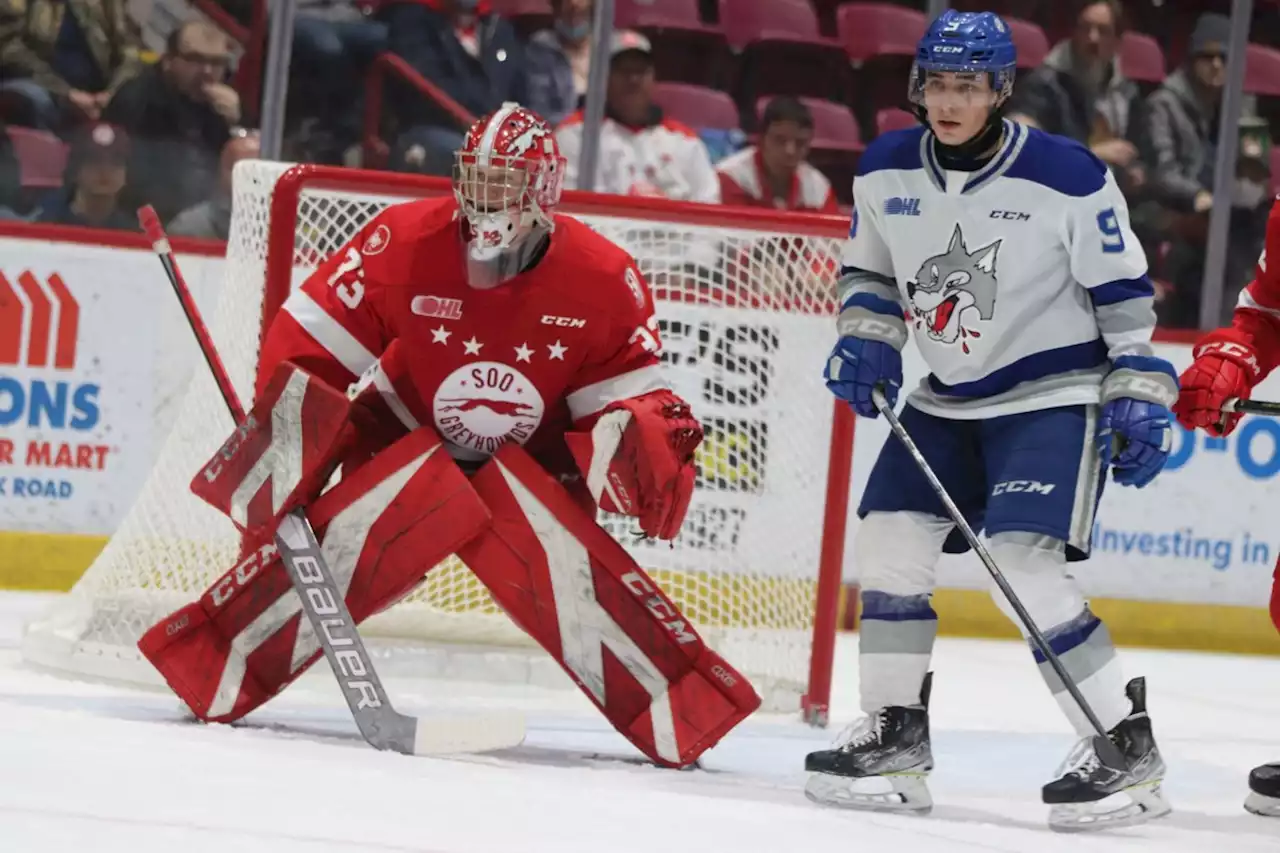 Wolves fall 2-1 to visiting Soo Greyhounds