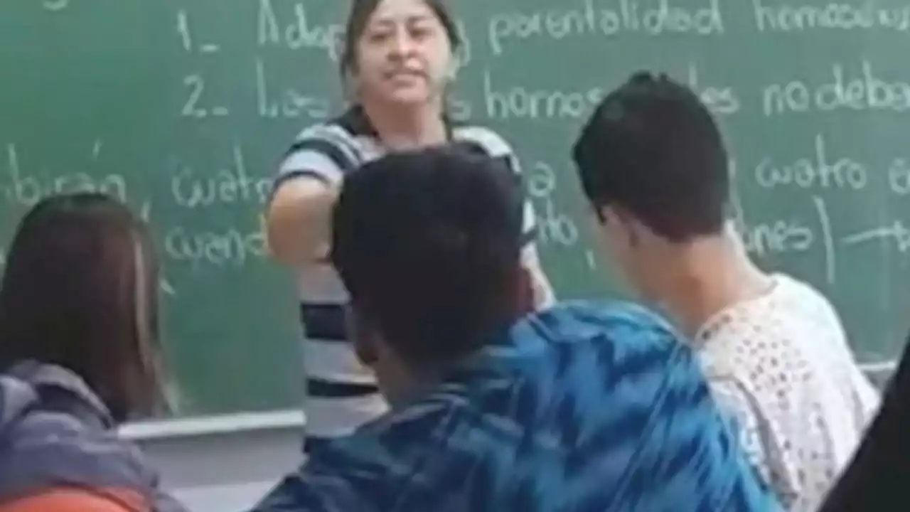 'La situación desbordó': habló la mujer que golpeó a un compañero de su hijo por bullying